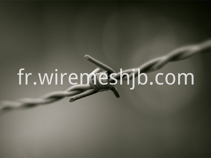 High Tensile Barb Wire